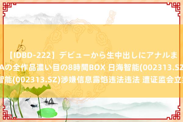 【IDBD-222】デビューから生中出しにアナルまで！最強の芸能人AYAの全作品濃い目の8時間BOX 日海智能(002313.SZ)涉嫌信息露馅违法违法 遭证监会立案访问