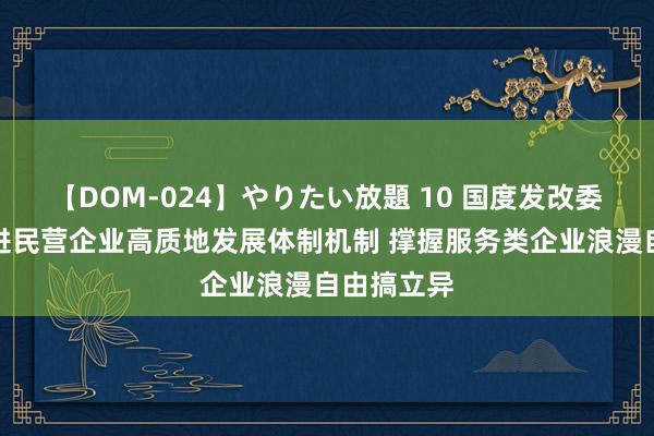 【DOM-024】やりたい放題 10 国度发改委：完善促进民营企业高质地发展体制机制 撑握服务类企业浪漫自由搞立异