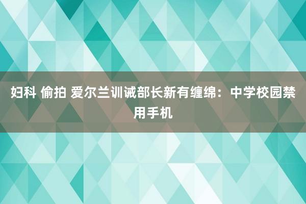 妇科 偷拍 爱尔兰训诫部长新有缠绵：中学校园禁用手机