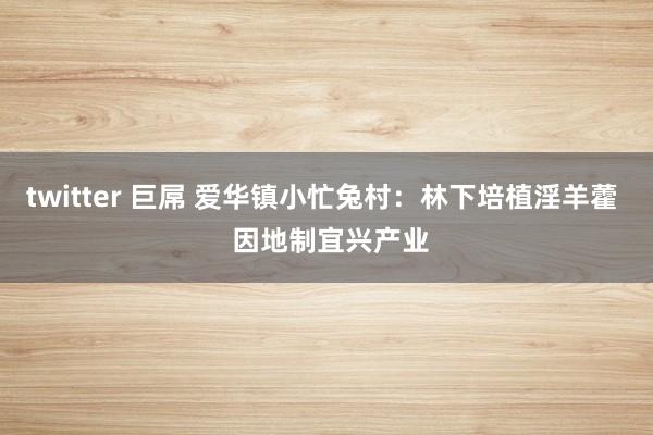 twitter 巨屌 爱华镇小忙兔村：林下培植淫羊藿  因地制宜兴产业