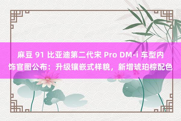 麻豆 91 比亚迪第二代宋 Pro DM-i 车型内饰官图公布：升级镶嵌式样貌，新增琥珀棕配色