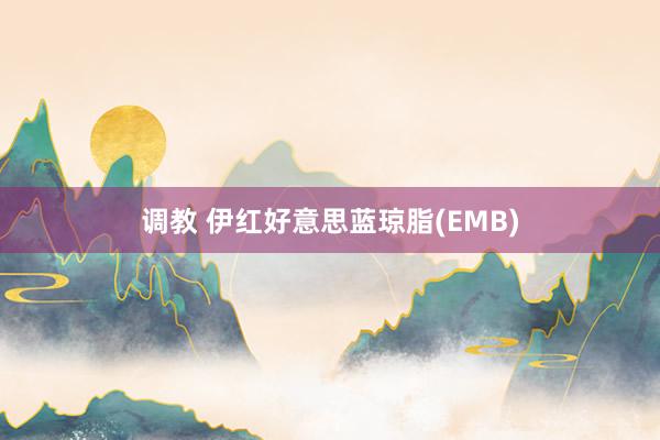 调教 伊红好意思蓝琼脂(EMB)